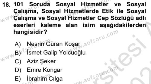 Sosyal Hizmete Giriş Dersi 2024 - 2025 Yılı (Vize) Ara Sınavı 18. Soru