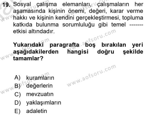 Sosyal Hizmete Giriş Dersi 2024 - 2025 Yılı (Vize) Ara Sınavı 19. Soru