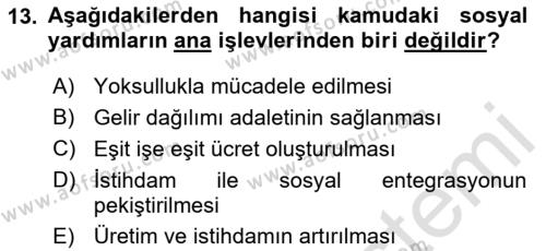 Sosyal Hizmet Kuruluşları Dersi 2023 - 2024 Yılı (Final) Dönem Sonu Sınavı 13. Soru