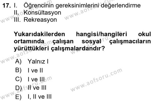 Sosyal Hizmet Kuruluşları Dersi 2023 - 2024 Yılı (Final) Dönem Sonu Sınavı 17. Soru