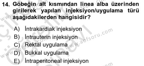 Temel Sağlık Hizmetleri Dersi 2020 - 2021 Yılı Yaz Okulu Sınavı 14. Soru