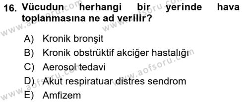 Temel Sağlık Hizmetleri Dersi 2020 - 2021 Yılı Yaz Okulu Sınavı 16. Soru