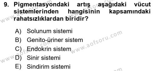 Temel Sağlık Hizmetleri Dersi 2023 - 2024 Yılı (Vize) Ara Sınavı 9. Soru