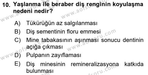 Temel Bakım Hizmetleri Dersi 2023 - 2024 Yılı (Final) Dönem Sonu Sınavı 10. Soru