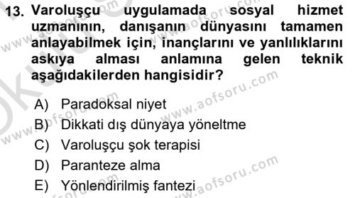 Sosyal Hizmet Kuram Ve Yaklaşımları Dersi 2020 - 2021 Yılı Yaz Okulu Sınavı 13. Soru