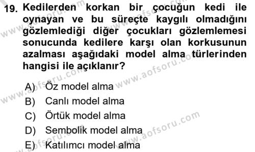 Sosyal Hizmet Kuram Ve Yaklaşımları Dersi 2021 - 2022 Yılı (Vize) Ara Sınavı 19. Soru