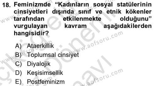 Sosyal Hizmet Kuram Ve Yaklaşımları Dersi 2021 - 2022 Yılı (Final) Dönem Sonu Sınavı 18. Soru