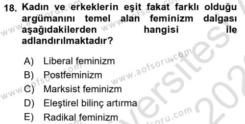 Sosyal Hizmet Kuram Ve Yaklaşımları Dersi 2021 - 2022 Yılı Yaz Okulu Sınavı 18. Soru