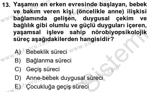 Sosyal Hizmet Kuram Ve Yaklaşımları Dersi 2022 - 2023 Yılı (Vize) Ara Sınavı 13. Soru