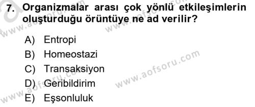 Sosyal Hizmet Kuram Ve Yaklaşımları Dersi 2022 - 2023 Yılı (Vize) Ara Sınavı 7. Soru