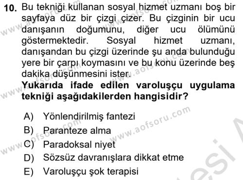 Sosyal Hizmet Kuram Ve Yaklaşımları Dersi 2022 - 2023 Yılı (Final) Dönem Sonu Sınavı 10. Soru