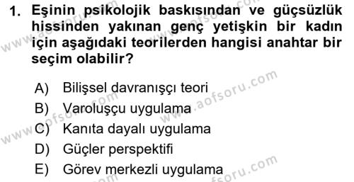 Sosyal Hizmet Kuram Ve Yaklaşımları Dersi 2022 - 2023 Yılı Yaz Okulu Sınavı 1. Soru