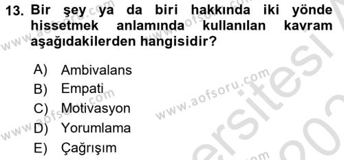 Sosyal Hizmet Kuram Ve Yaklaşımları Dersi 2022 - 2023 Yılı Yaz Okulu Sınavı 13. Soru