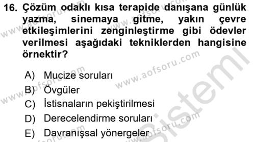 Sosyal Hizmet Kuram Ve Yaklaşımları Dersi 2022 - 2023 Yılı Yaz Okulu Sınavı 16. Soru