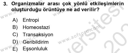 Sosyal Hizmet Kuram Ve Yaklaşımları Dersi 2022 - 2023 Yılı Yaz Okulu Sınavı 3. Soru