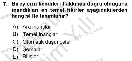 Sosyal Hizmet Kuram Ve Yaklaşımları Dersi 2022 - 2023 Yılı Yaz Okulu Sınavı 7. Soru