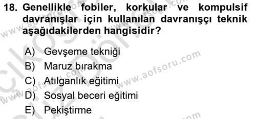 Sosyal Hizmet Kuram Ve Yaklaşımları Dersi 2023 - 2024 Yılı (Vize) Ara Sınavı 18. Soru