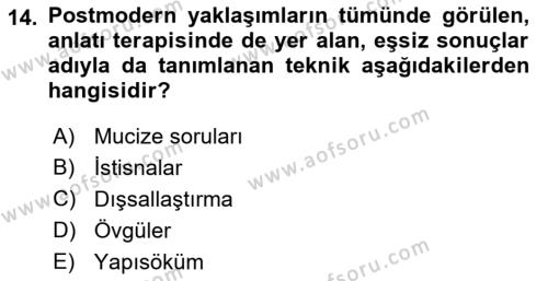 Sosyal Hizmet Kuram Ve Yaklaşımları Dersi 2023 - 2024 Yılı (Final) Dönem Sonu Sınavı 14. Soru