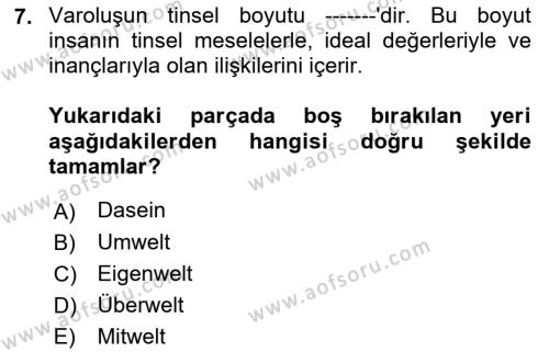 Sosyal Hizmet Kuram Ve Yaklaşımları Dersi 2023 - 2024 Yılı (Final) Dönem Sonu Sınavı 7. Soru