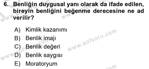 İnsan Davranışı Ve Sosyal Çevre 1 Dersi 2022 - 2023 Yılı (Final) Dönem Sonu Sınavı 6. Soru