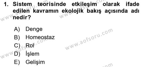 İnsan Davranışı Ve Sosyal Çevre 1 Dersi 2024 - 2025 Yılı (Vize) Ara Sınavı 1. Soru