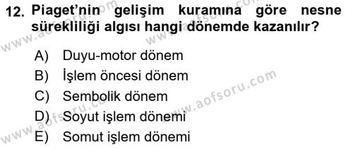 İnsan Davranışı Ve Sosyal Çevre 1 Dersi 2024 - 2025 Yılı (Vize) Ara Sınavı 12. Soru