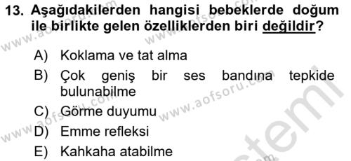 İnsan Davranışı Ve Sosyal Çevre 1 Dersi 2024 - 2025 Yılı (Vize) Ara Sınavı 13. Soru