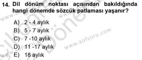 İnsan Davranışı Ve Sosyal Çevre 1 Dersi 2024 - 2025 Yılı (Vize) Ara Sınavı 14. Soru