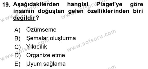 İnsan Davranışı Ve Sosyal Çevre 1 Dersi 2024 - 2025 Yılı (Vize) Ara Sınavı 19. Soru