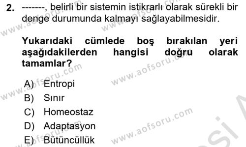 İnsan Davranışı Ve Sosyal Çevre 1 Dersi 2024 - 2025 Yılı (Vize) Ara Sınavı 2. Soru