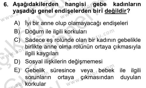 İnsan Davranışı Ve Sosyal Çevre 1 Dersi 2024 - 2025 Yılı (Vize) Ara Sınavı 6. Soru