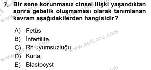 İnsan Davranışı Ve Sosyal Çevre 1 Dersi 2024 - 2025 Yılı (Vize) Ara Sınavı 7. Soru