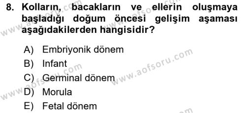 İnsan Davranışı Ve Sosyal Çevre 1 Dersi 2024 - 2025 Yılı (Vize) Ara Sınavı 8. Soru