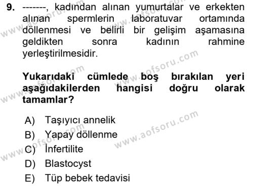 İnsan Davranışı Ve Sosyal Çevre 1 Dersi 2024 - 2025 Yılı (Vize) Ara Sınavı 9. Soru