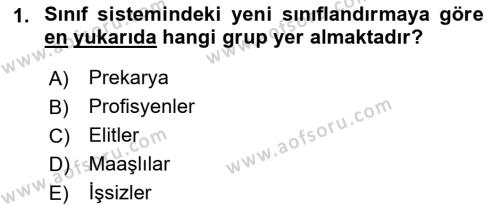 İnsan Davranışı Ve Sosyal Çevre 2 Dersi 2021 - 2022 Yılı (Vize) Ara Sınavı 1. Soru