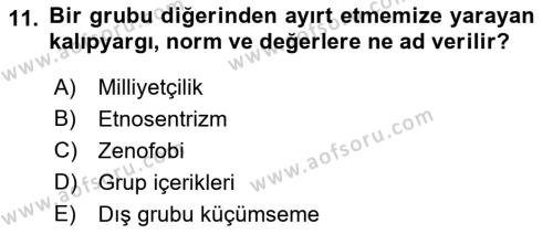 İnsan Davranışı Ve Sosyal Çevre 2 Dersi 2021 - 2022 Yılı (Vize) Ara Sınavı 11. Soru