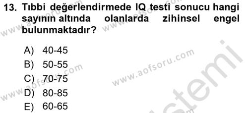 Engellilerle Sosyal Hizmet Dersi 2022 - 2023 Yılı Yaz Okulu Sınavı 13. Soru