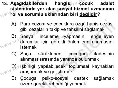 Aile Ve Çocukla Sosyal Hizmet Dersi 2018 - 2019 Yılı 3 Ders Sınavı 13. Soru