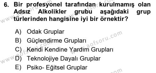 Gruplarla Sosyal Hizmet Dersi 2022 - 2023 Yılı (Vize) Ara Sınavı 6. Soru