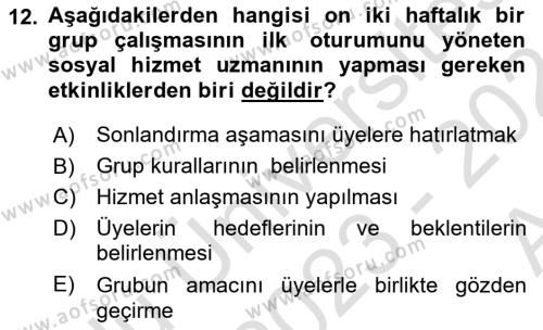 Gruplarla Sosyal Hizmet Dersi 2023 - 2024 Yılı (Vize) Ara Sınavı 12. Soru