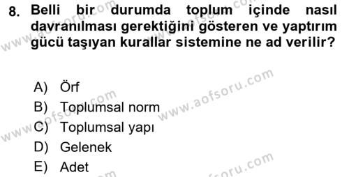 Sokak Sosyal Hizmeti Ve Adli Sosyal Hizmet Dersi 2018 - 2019 Yılı 3 Ders Sınavı 8. Soru