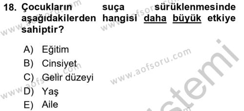 Sokak Sosyal Hizmeti Ve Adli Sosyal Hizmet Dersi 2018 - 2019 Yılı Yaz Okulu Sınavı 18. Soru