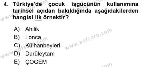 Sokak Sosyal Hizmeti Ve Adli Sosyal Hizmet Dersi 2018 - 2019 Yılı Yaz Okulu Sınavı 4. Soru