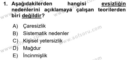 Sokak Sosyal Hizmeti Ve Adli Sosyal Hizmet Dersi 2020 - 2021 Yılı Yaz Okulu Sınavı 1. Soru