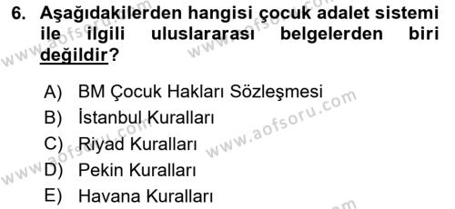 Sokak Sosyal Hizmeti Ve Adli Sosyal Hizmet Dersi 2020 - 2021 Yılı Yaz Okulu Sınavı 6. Soru