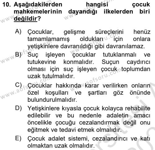 Sokak Sosyal Hizmeti Ve Adli Sosyal Hizmet Dersi 2021 - 2022 Yılı (Final) Dönem Sonu Sınavı 10. Soru