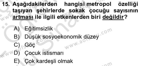 Sokak Sosyal Hizmeti Ve Adli Sosyal Hizmet Dersi 2021 - 2022 Yılı Yaz Okulu Sınavı 15. Soru