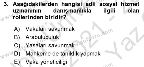 Sokak Sosyal Hizmeti Ve Adli Sosyal Hizmet Dersi 2021 - 2022 Yılı Yaz Okulu Sınavı 3. Soru