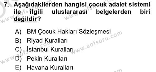 Sokak Sosyal Hizmeti Ve Adli Sosyal Hizmet Dersi 2021 - 2022 Yılı Yaz Okulu Sınavı 7. Soru