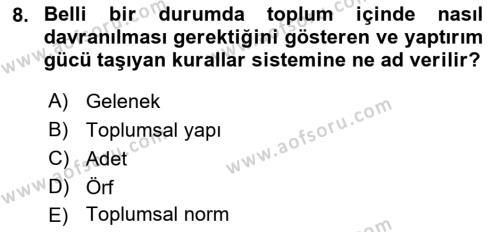 Sokak Sosyal Hizmeti Ve Adli Sosyal Hizmet Dersi 2021 - 2022 Yılı Yaz Okulu Sınavı 8. Soru